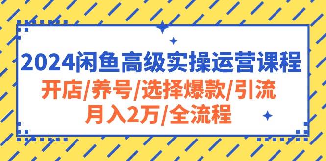 （10711期）2024闲鱼高级实操运营课程：开店/养号/选择爆款/引流/月入2万/全流程-问小徐资源库