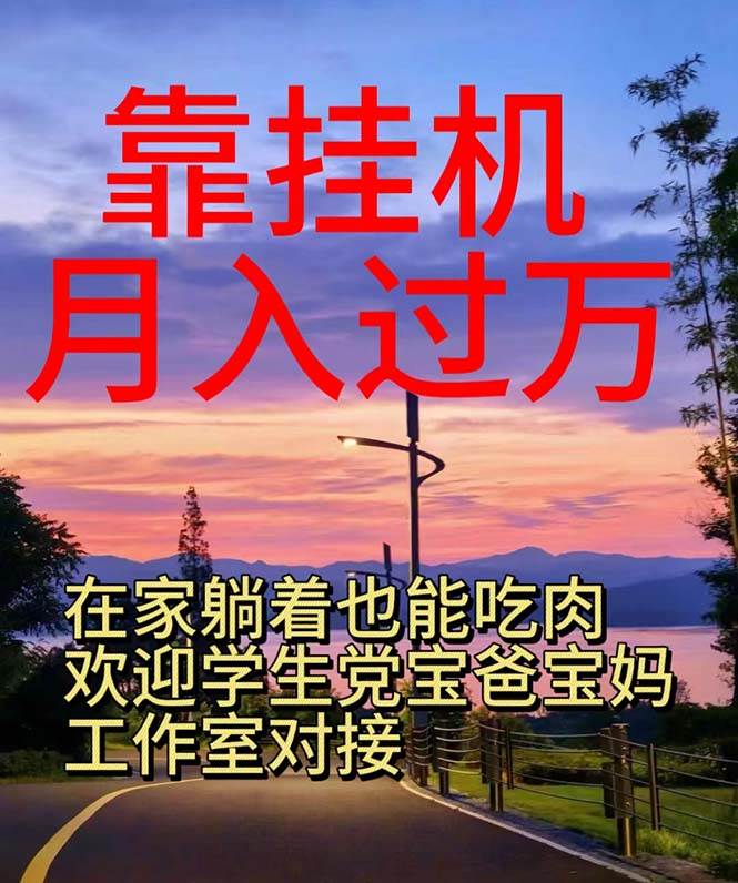 （10838期）靠挂机，日入1000+，躺着也能吃肉，适合宝爸宝妈学生党工作室，电脑手...-问小徐资源库