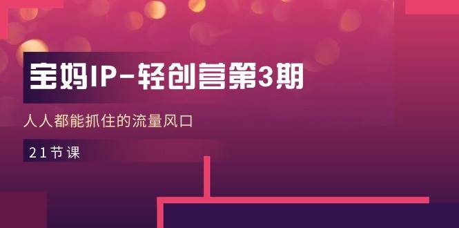 （11042期）宝妈IP-轻创营第3期，人人都能抓住的流量风口（21节课）-问小徐资源库