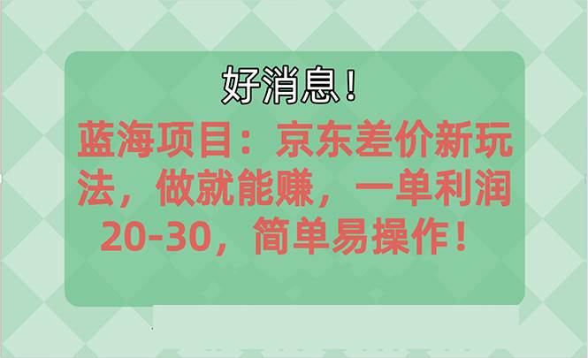 （10989期）越早知道越能赚到钱的蓝海项目：京东大平台操作，一单利润20-30，简单...-问小徐资源库