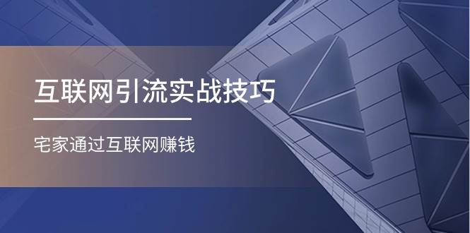 （11108期）互联网引流实操技巧(适合微商，吸引宝妈)，宅家通过互联网赚钱（17节）-问小徐资源库