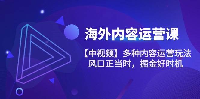 （10833期）海外内容 运营课【中视频】多种内容运营玩法 风口正当时 掘金好时机-101节-问小徐资源库