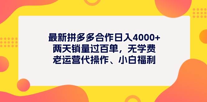 （11410期）最新拼多多项目日入4000+两天销量过百单，无学费、老运营代操作、小白福利-问小徐资源库
