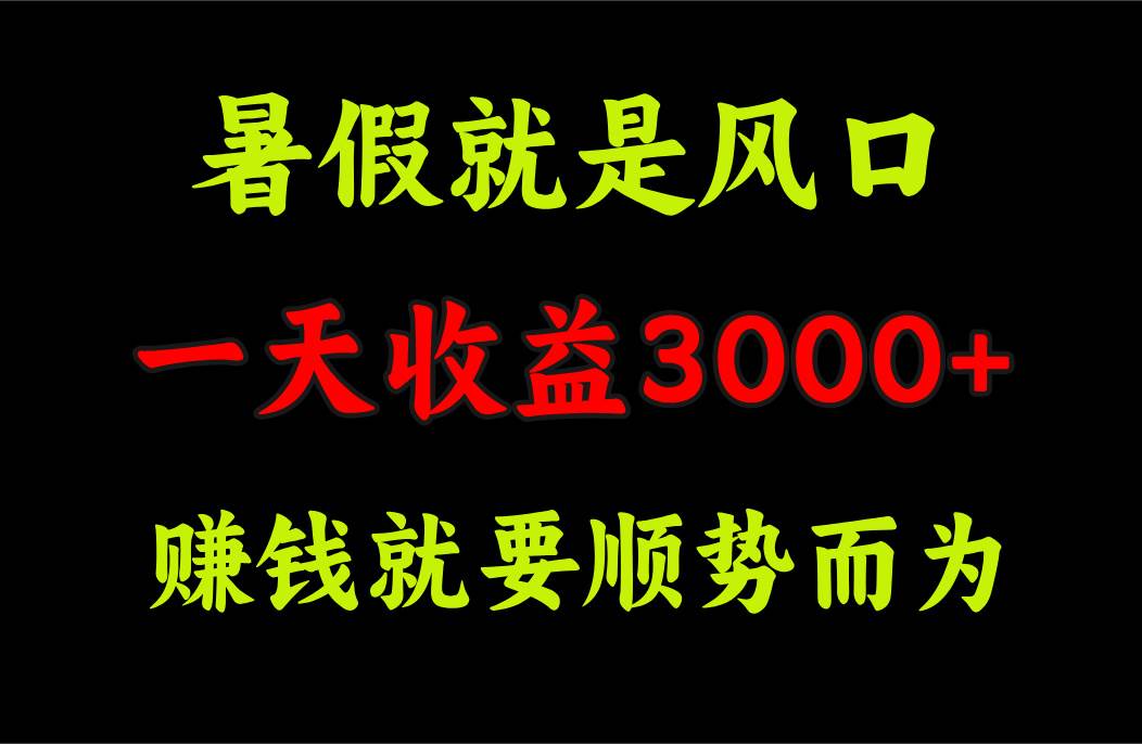 图片[1]-（11670期）一天收益3000+ 赚钱就是顺势而为，暑假就是风口-问小徐资源库