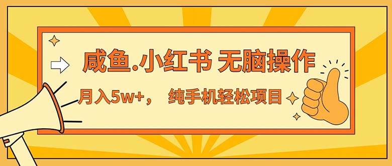 （11524期）2024最赚钱的项目，咸鱼，小红书无脑操作，每单利润500+，轻松月入5万+...-问小徐资源库