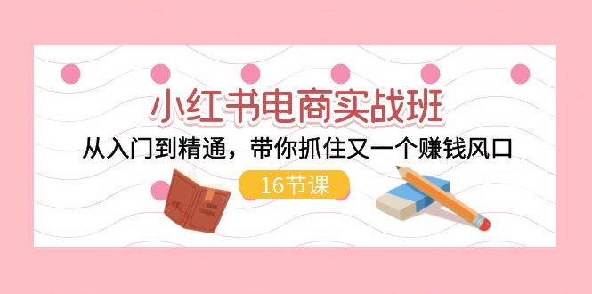 （11533期）小红书电商实战班，从入门到精通，带你抓住又一个赚钱风口（16节）-问小徐资源库