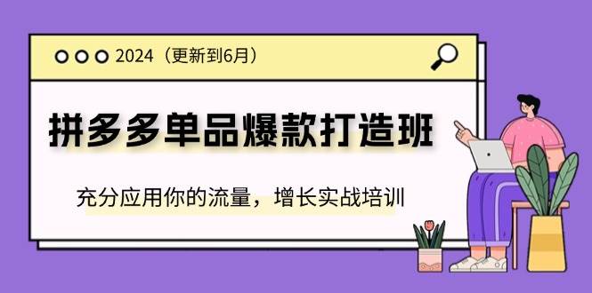 （11556期）2024拼多多-单品爆款打造班(更新6月)，充分应用你的流量，增长实战培训-问小徐资源库