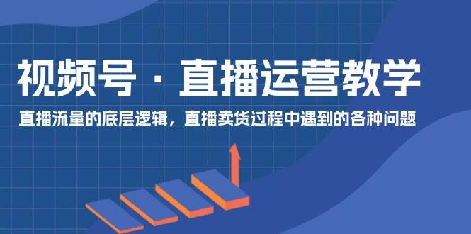 （11687期）视频号 直播运营教学：直播流量的底层逻辑，直播卖货过程中遇到的各种问题-问小徐资源库