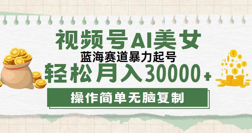 （12087期）视频号AI美女跳舞，轻松月入30000+，蓝海赛道，流量池巨大，起号猛，无...-问小徐资源库