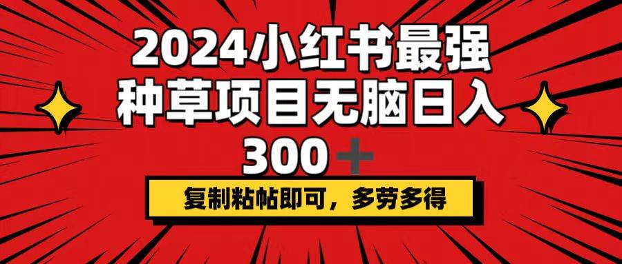 （12336期）2024小红书最强种草项目，无脑日入300+，复制粘帖即可，多劳多得-问小徐资源库