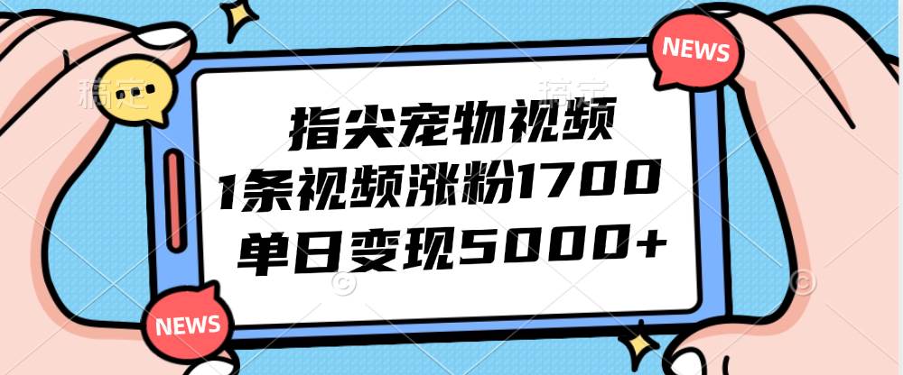 （12549期）指尖宠物视频，1条视频涨粉1700，单日变现5000+-问小徐资源库