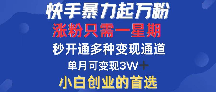 （12651期）快手暴力起万粉，涨粉只需一星期，多种变现模式，直接秒开万合，小白创...-问小徐资源库