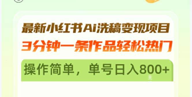 （13182期）最新小红书Ai洗稿变现项目 3分钟一条作品轻松热门 操作简单，单号日入800+-问小徐资源库