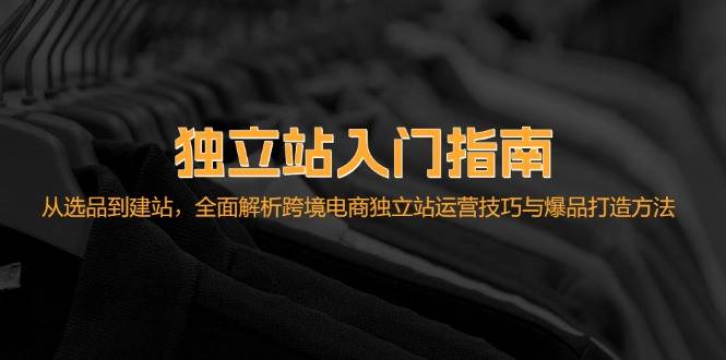 （12882期）独立站入门指南：从选品到建站，全面解析跨境电商独立站运营技巧与爆品...-问小徐资源库