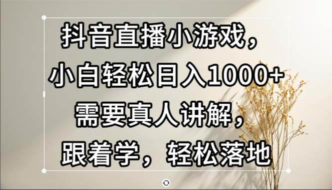 （13075期）抖音直播小游戏，小白轻松日入1000+需要真人讲解，跟着学，轻松落地-问小徐资源库