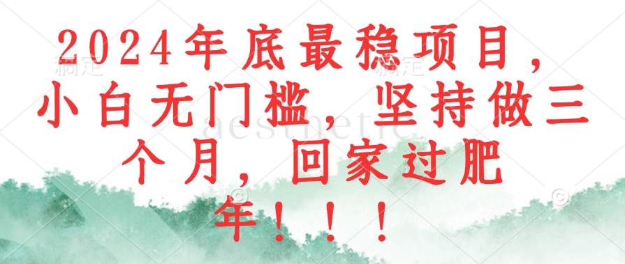 （12970期）2024年底最稳项目，小白无门槛，坚持做三个月，回家过肥年！！！-问小徐资源库