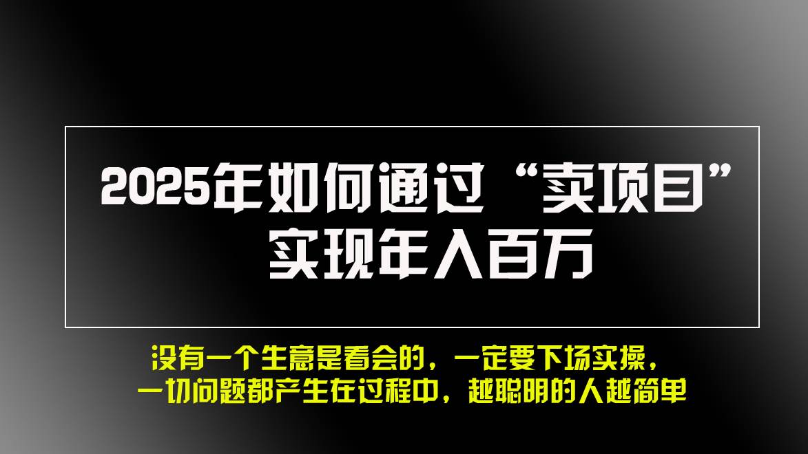 （13468期）2025年如何通过“卖项目”实现年入百万，做网赚必看！！-问小徐资源库