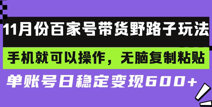 （13281期）百家号带货野路子玩法 手机就可以操作，无脑复制粘贴 单账号日稳定变现...-问小徐资源库