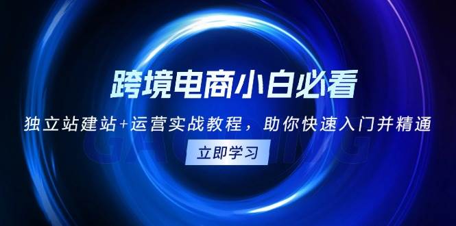 （13503期）跨境电商小白必看！独立站建站+运营实战教程，助你快速入门并精通-问小徐资源库