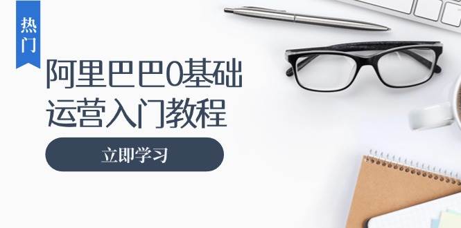 （13291期）阿里巴巴运营零基础入门教程：涵盖开店、运营、推广，快速成为电商高手-问小徐资源库