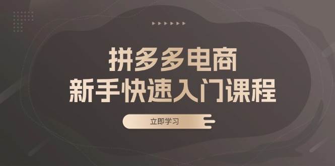 （13289期）拼多多电商新手快速入门课程：涵盖基础、实战与选款，助力小白轻松上手-问小徐资源库