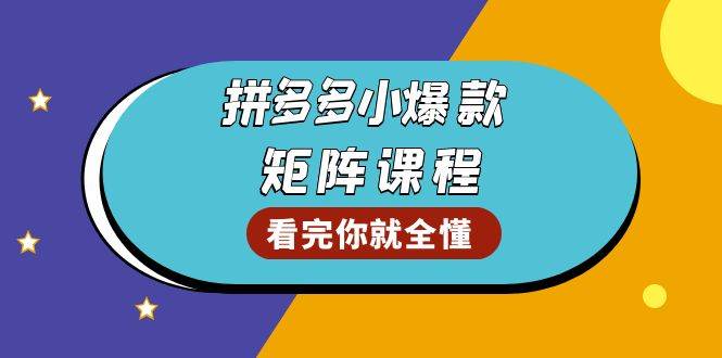 （13699期）拼多多爆款矩阵课程：教你测出店铺爆款，优化销量，提升GMV，打造爆款群-问小徐资源库