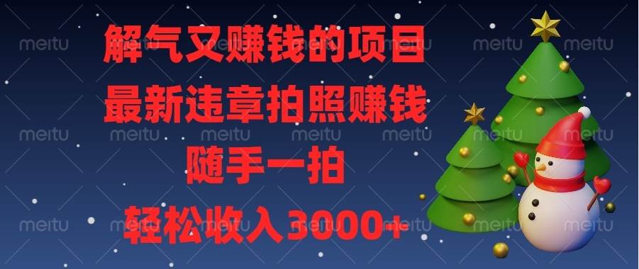 （13686期）解气又赚钱的项目，最新违章拍照赚钱，随手一拍，轻松收入3000+-问小徐资源库