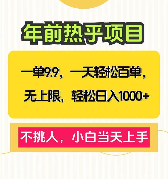 （13795期）一单9.9，一天百单无上限，不挑人，小白当天上手，轻松日入1000+-问小徐资源库