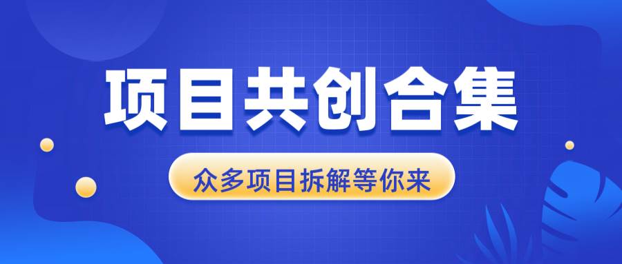 （13778期）项目共创合集，从0-1全过程拆解，让你迅速找到适合自已的项目-问小徐资源库