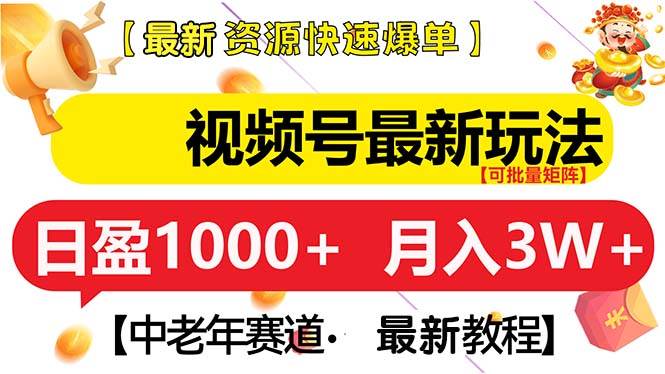 （13530期）视频号最新玩法 中老年赛道 月入3W+-问小徐资源库