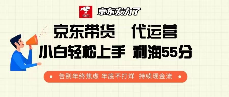 （13833期）京东带货 代运营 利润55分 告别年终焦虑 年底不打烊 持续现金流-问小徐资源库