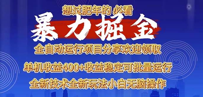 （13675期）2025暴力掘金项目，想过肥年必看！-问小徐资源库