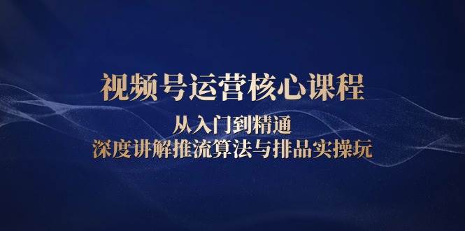 （13863期）视频号运营核心课程，从入门到精通，深度讲解推流算法与排品实操玩-问小徐资源库