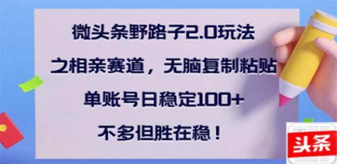 （14334期）微头条野路子2.0玩法之相亲赛道，无脑搬砖复制粘贴，单账号日稳定300+...-问小徐资源库