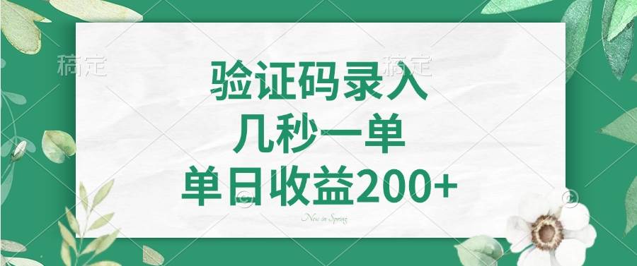 （14221期）验证码录入，几秒一单，单日收益200+-问小徐资源库