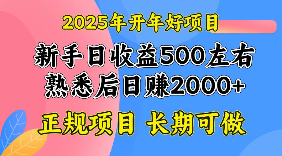 （14076期）2025开年好项目，单号日收益2000左右-问小徐资源库