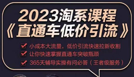 2023直通车低价引流玩法课程，小成本大流量，低价引流快速拉新收割，让你快速掌握直通车突破瓶颈-问小徐资源库