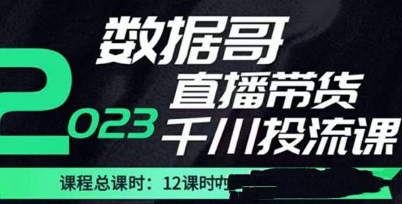 数据哥2023直播电商巨量千川付费投流实操课，快速掌握直播带货运营投放策略-问小徐资源库