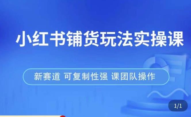 小红书铺货玩法实操课，流量大，竞争小，非常好做，新赛道，可复制性强，可团队操作-问小徐资源库
