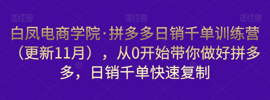 白凤电商学院·拼多多日销千单训练营，从0开始带你做好拼多多，日销千单快速复制（更新知2023年3月）-问小徐资源库