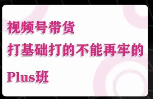 大播汇·视频号带货Puls班，视频号底层逻辑，起号自然流鱼塘等玩法-问小徐资源库
