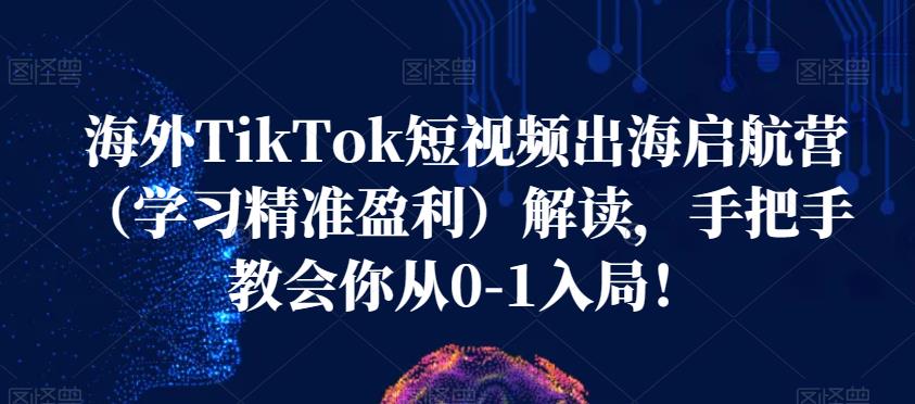 海外TikTok短视频出海启航营（学习精准盈利）解读，手把手教会你从0-1入局！-问小徐资源库