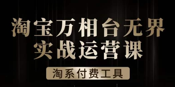 沧海·淘系万相台无界实战运营课，万相台无界实操全案例解析-问小徐资源库