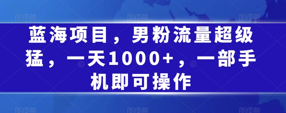 蓝海项目，男粉流量超级猛，一天1000+，一部手机即可操作【揭秘】-问小徐资源库