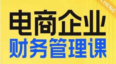 电商企业财务管理线上课，为电商企业规划财税-问小徐资源库