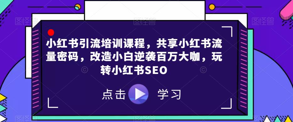 小红书引流培训课程，共享小红书流量密码，改造小白逆袭百万大咖，玩转小红书SEO-问小徐资源库