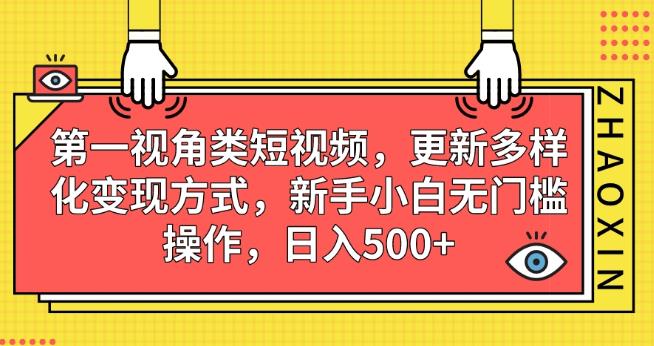 第一视角类短视频，更新多样化变现方式，新手小白无门槛操作，日入500+【揭秘】-问小徐资源库