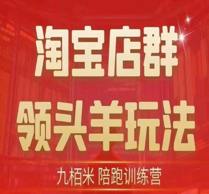 九栢米-淘宝店群领头羊玩法，教你整个淘宝店群领头羊玩法以及精细化/终极蓝海/尾销等内容-问小徐资源库