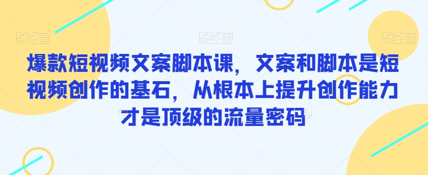 爆款短视频文案脚本课，文案和脚本是短视频创作的基石，从根本上提升创作能力才是顶级的流量密码-问小徐资源库