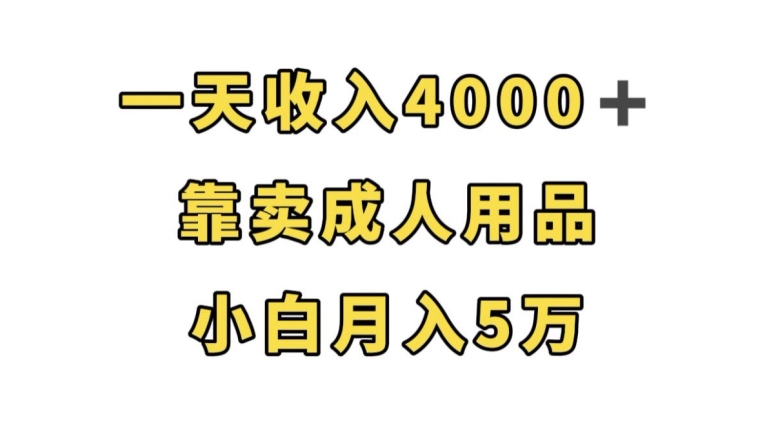 一天收入4000+，靠卖成人用品，小白轻松月入5万【揭秘】-问小徐资源库